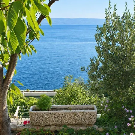 Apartment Mirela *